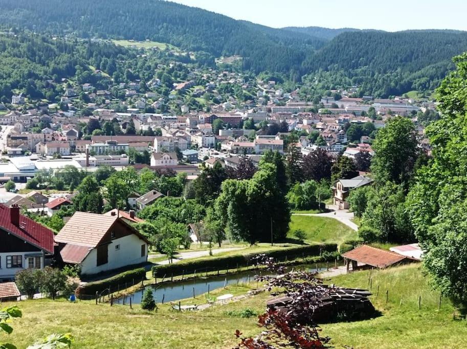Chalet De Standing 14 Personnes Gerardmer Ngoại thất bức ảnh